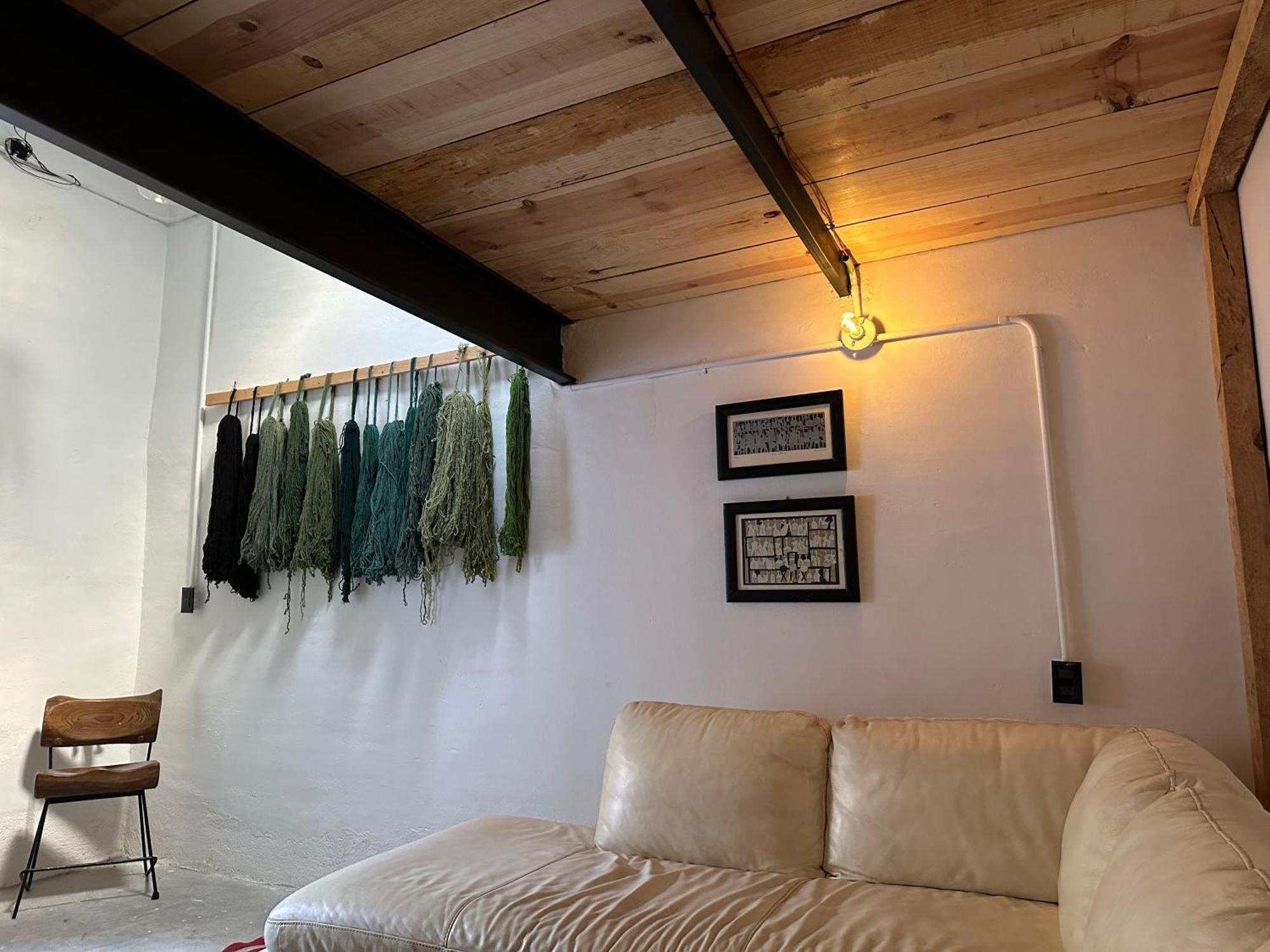 509 Accommodation Oaxaca المظهر الخارجي الصورة
