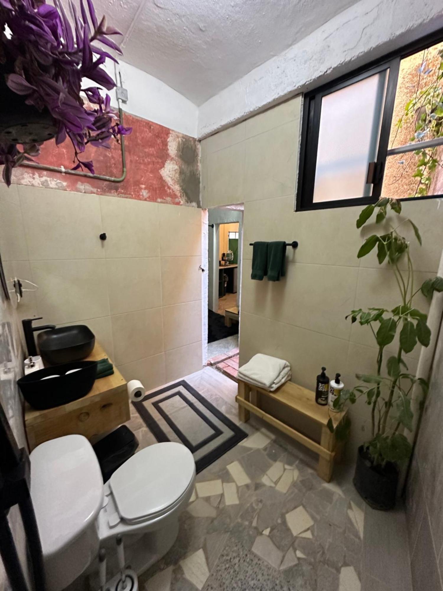 509 Accommodation Oaxaca المظهر الخارجي الصورة