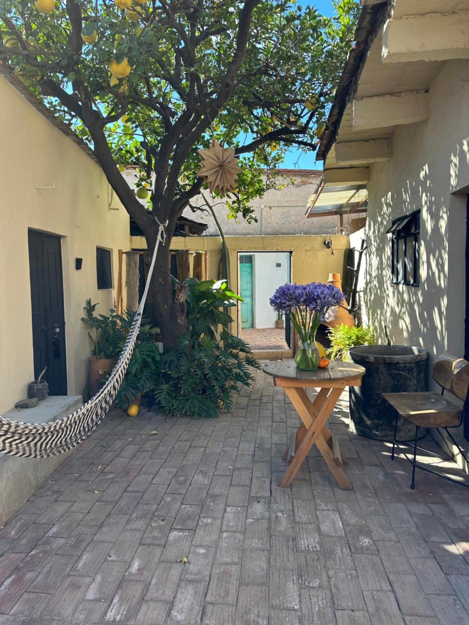 509 Accommodation Oaxaca المظهر الخارجي الصورة